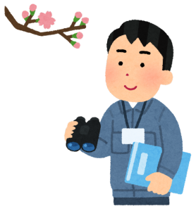 job_sakura_mori_man